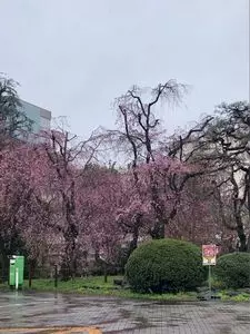 群馬大学工学部同窓記念会館