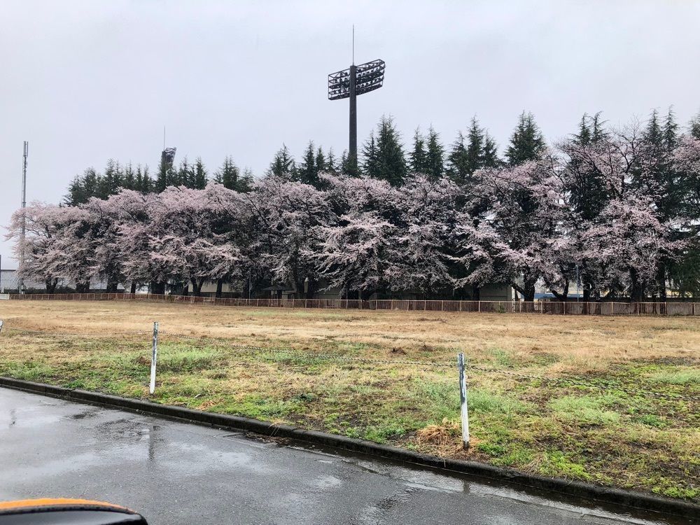 からっ風②さんが投稿した運動公園駅に関する口コミの画像