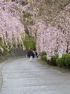 花見山心の手紙館