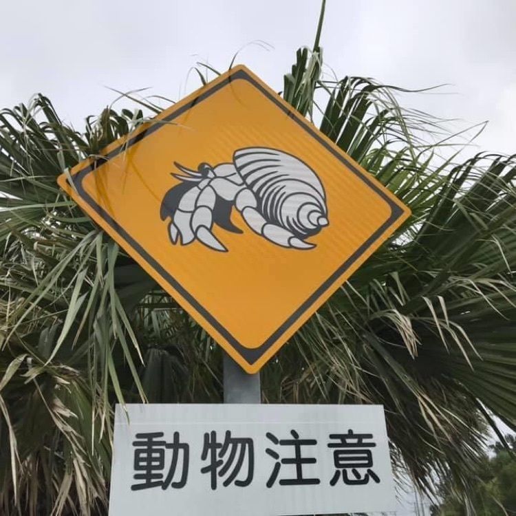 ＤＪゴン太さんが投稿した宮古島市に関する口コミの画像