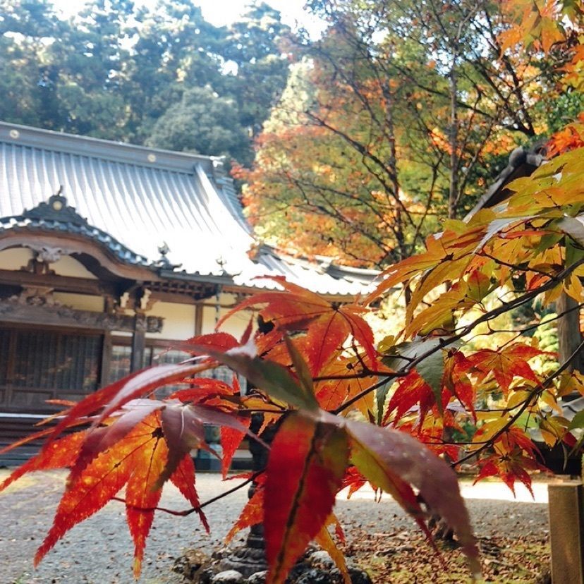 ホンキートンクさんが投稿した画像の画像