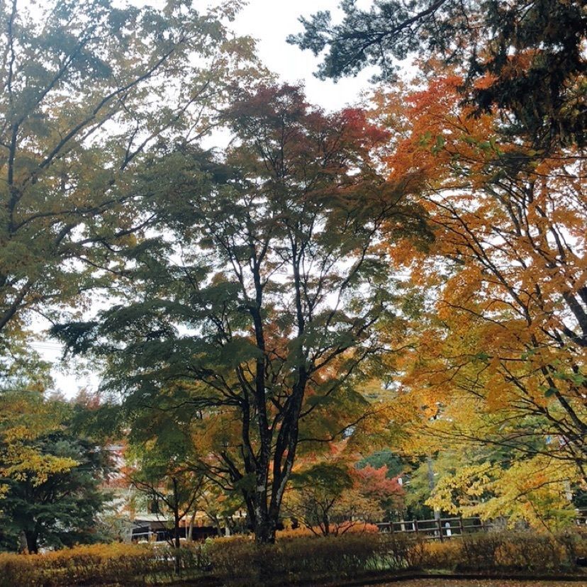 ホンキートンクさんが投稿した山中湖美術館に関する口コミの画像