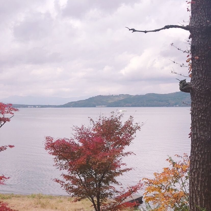 ホンキートンクさんが投稿した山中湖美術館に関する口コミの画像
