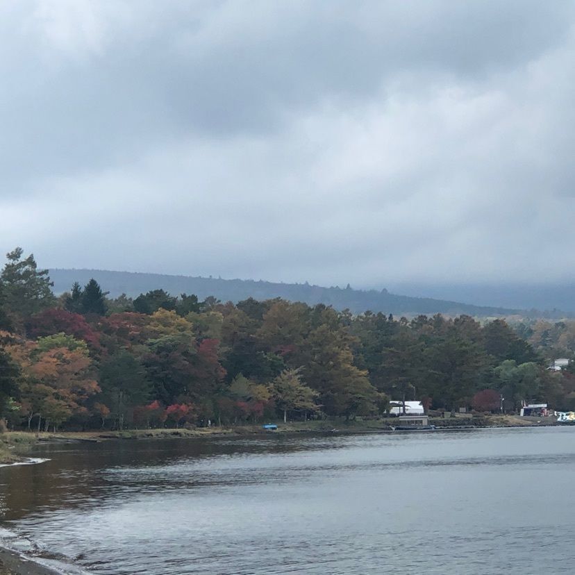 ホンキートンクさんが投稿した山中湖美術館に関する口コミの画像