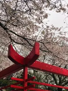 辯天宗御廟桃山