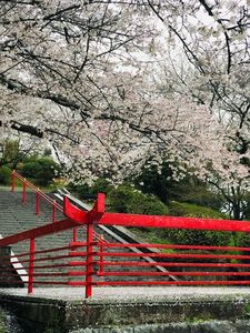 辯天宗御廟桃山 2枚目