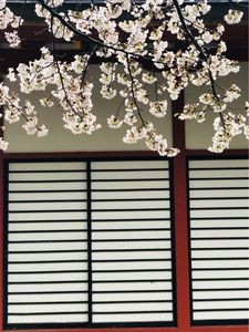 辯天宗御廟桃山 5枚目