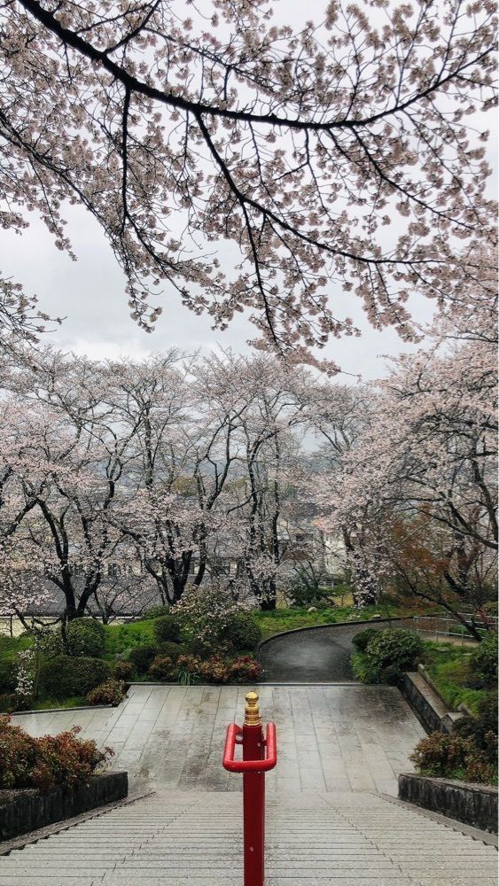 nicanさんが投稿した辯天宗御廟桃山に関する口コミの画像