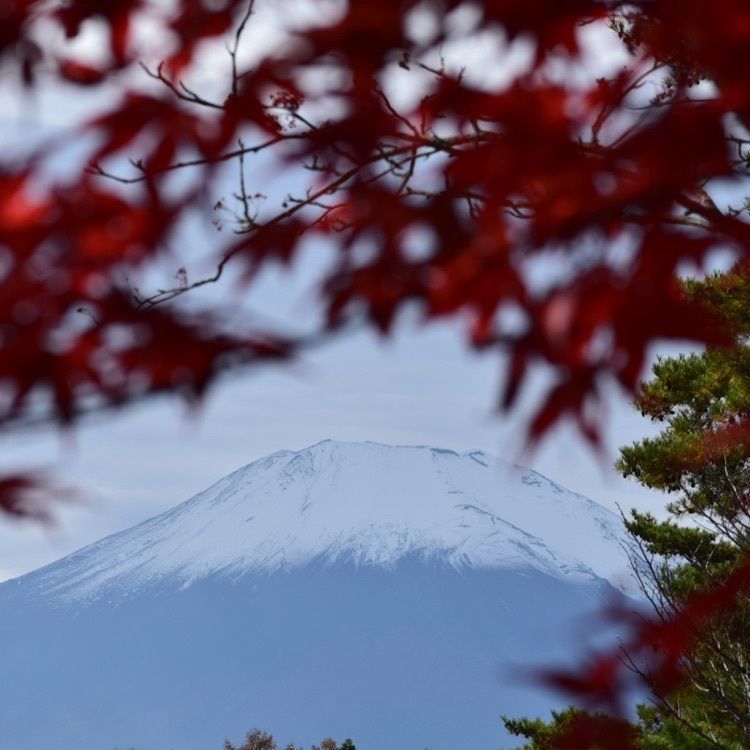 佳さんが投稿した富士山のめぐみに関する口コミの画像