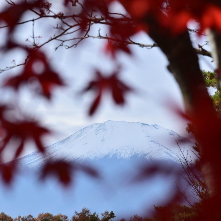 佳さんが投稿した富士山のめぐみに関する口コミの画像