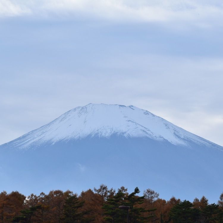 佳さんが投稿した富士山のめぐみに関する口コミの画像