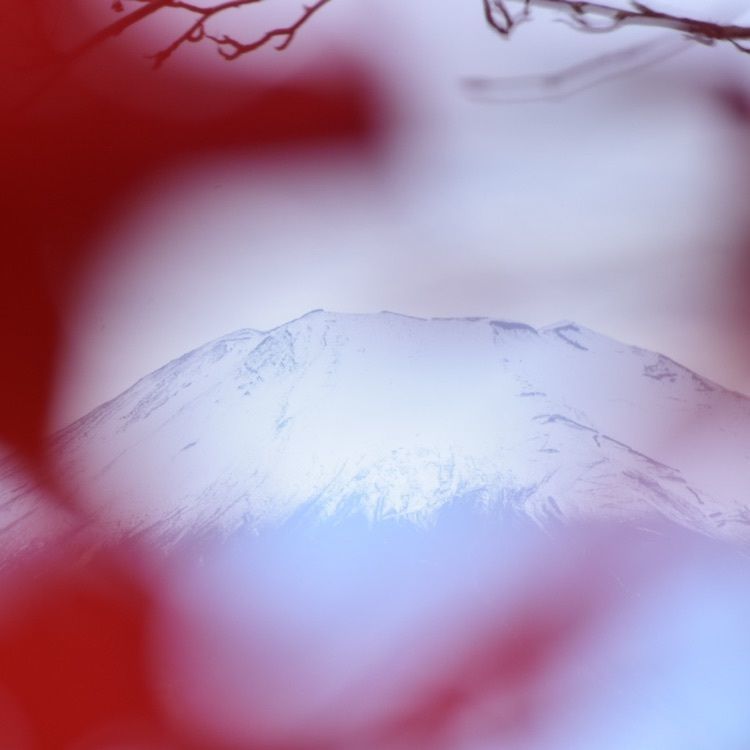 佳さんが投稿した富士山のめぐみに関する口コミの画像