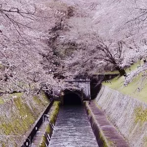 SPA&HOTEL 水春