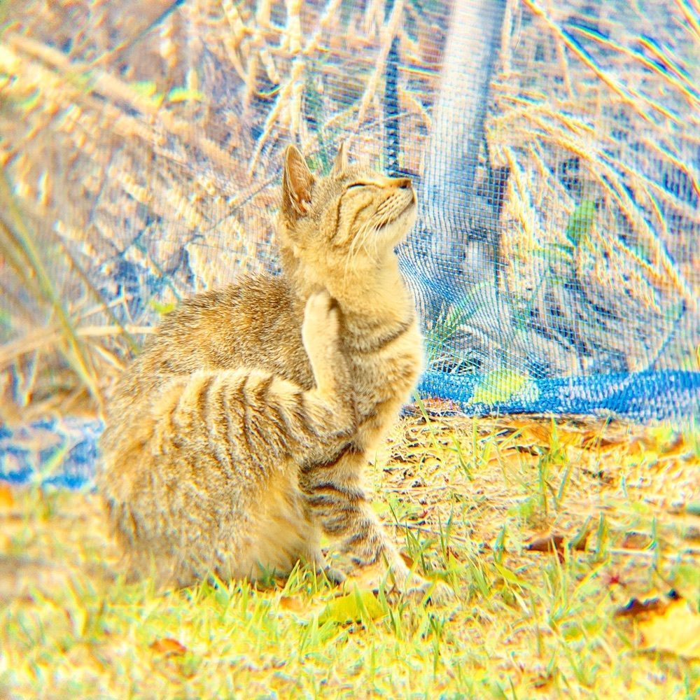 兎きちさんが投稿した垂水公園に関する口コミの画像