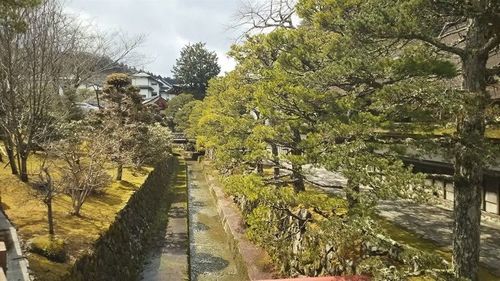 高野山