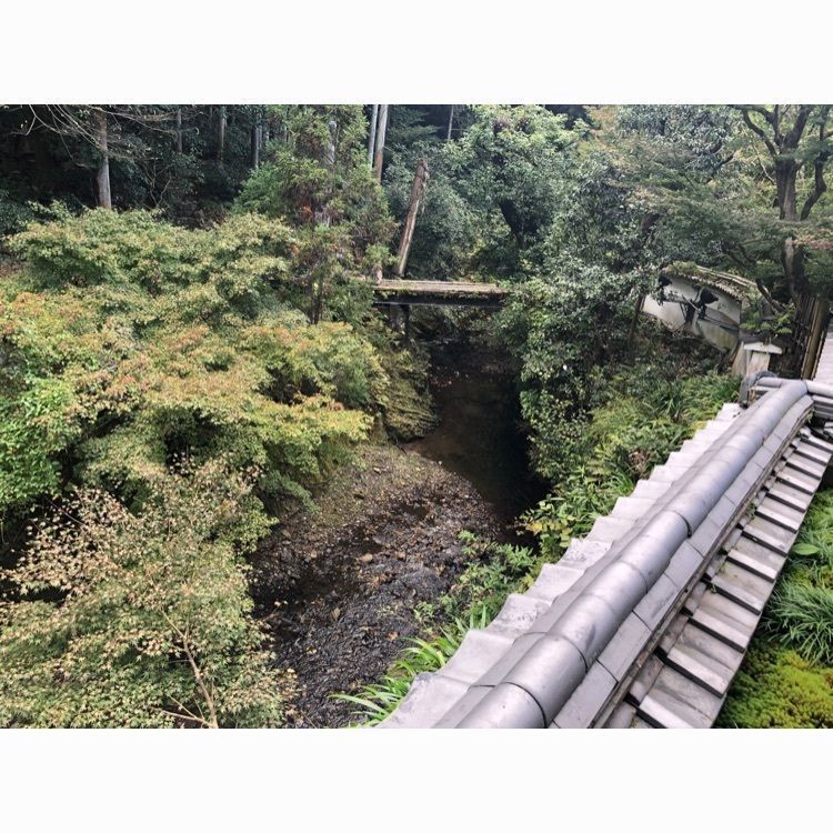 chikaさんが投稿したわらびの里（わらびのさと）に関する口コミの画像