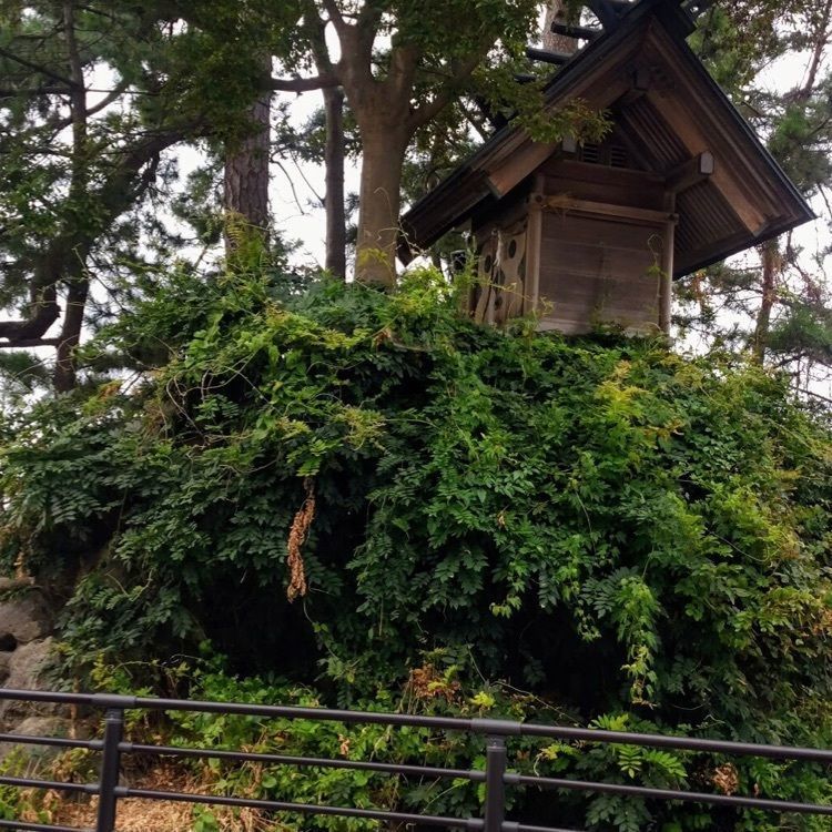 ＤＪゴン太さんが投稿した高岡市に関する口コミの画像