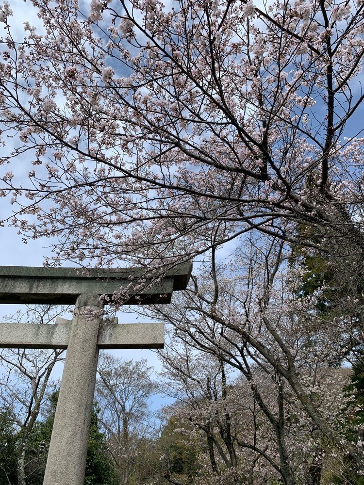 影の戦闘隊さんが投稿した廣峯神社に関する口コミの画像