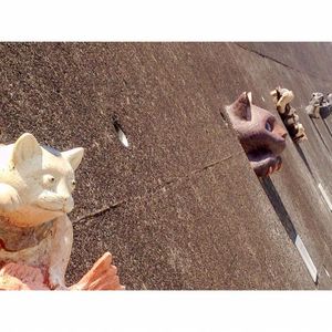 とこなめ招き猫通り 8枚目