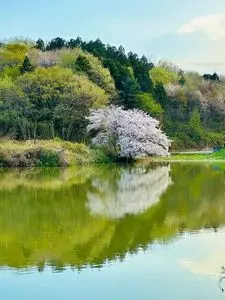 埼玉県立嵐山史跡の博物館