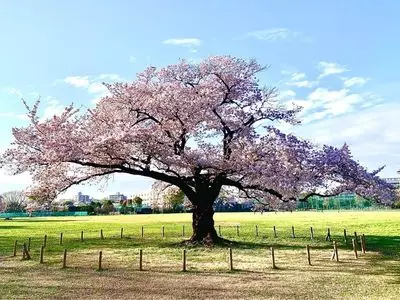 NTT技術資料館