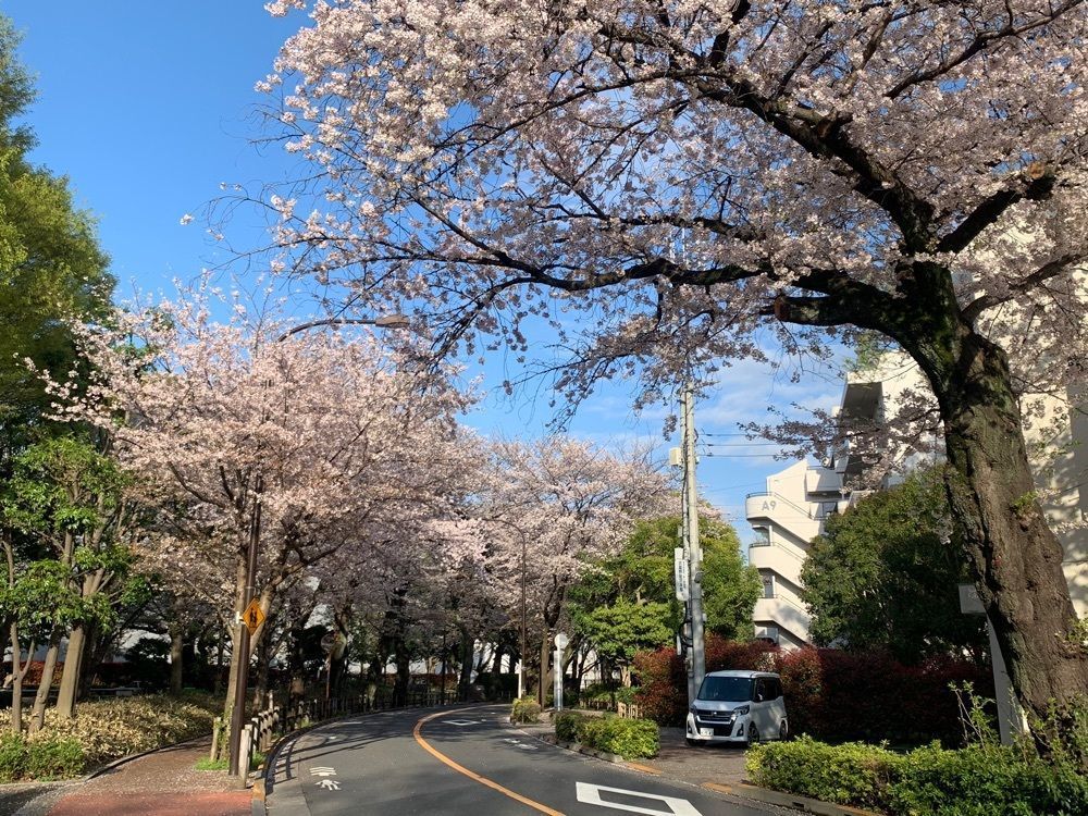 junkunさんが投稿したNTT技術資料館に関する口コミの画像