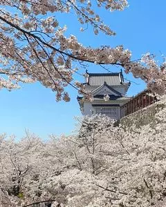 津山城（鶴山公園）