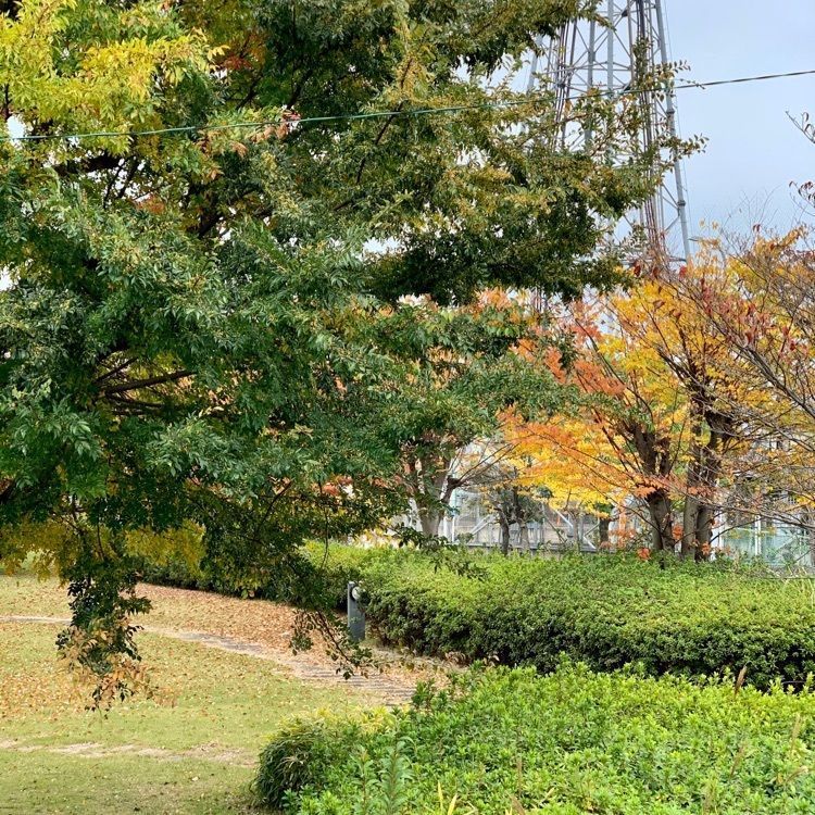 chou chou tabiさんが投稿した福寿園ＣＨＡ遊学パークに関する口コミの画像