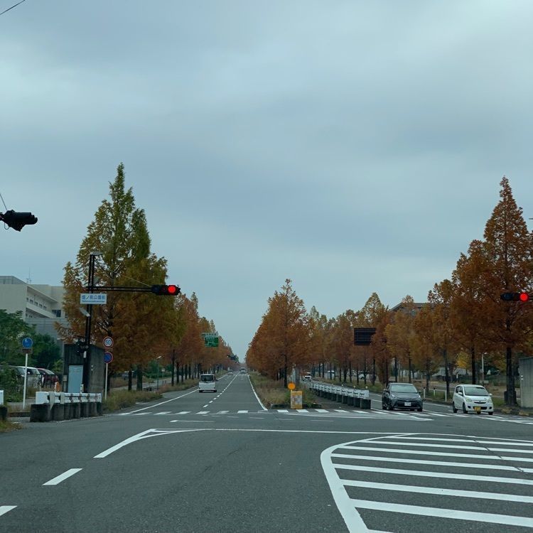 chou chou tabiさんが投稿した福寿園ＣＨＡ遊学パークに関する口コミの画像