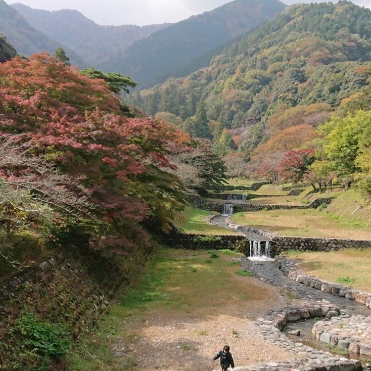 ＤＪゴン太さんが投稿した養老公園に関する口コミの画像