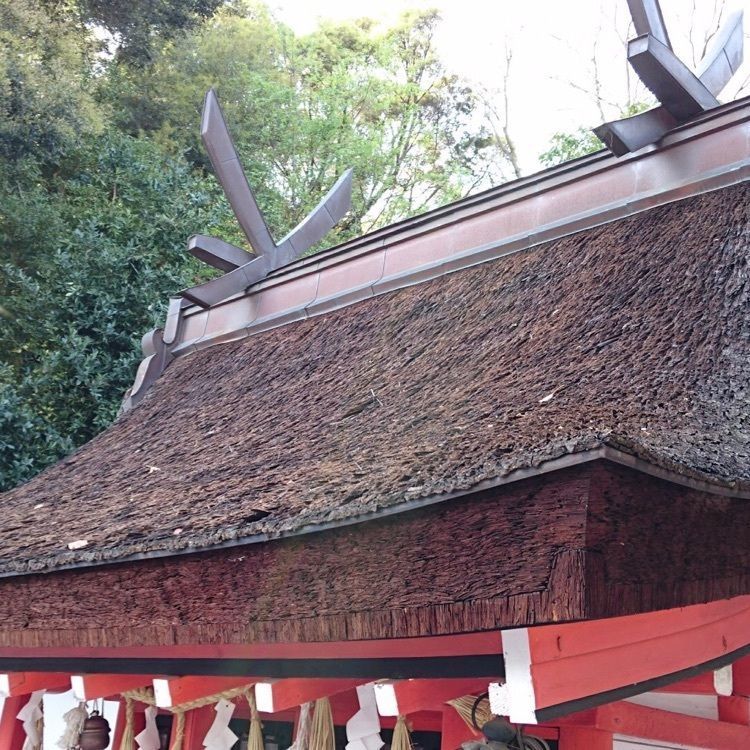 ＤＪゴン太さんが投稿した錦織神社に関する口コミの画像