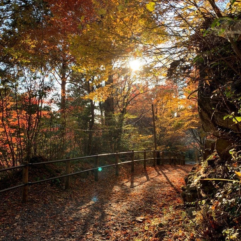 annko(/ω*＊) さんが投稿した夕森公園総合案内所 YOU遊館（ユウモリコウエンソウゴウアンナイジョ ユーユウカン）に関する口コミの画像