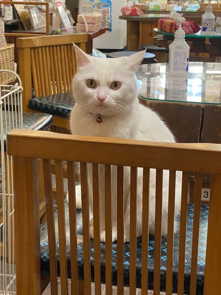 鉄道王さんが投稿したむらい萬香園に関する口コミの画像