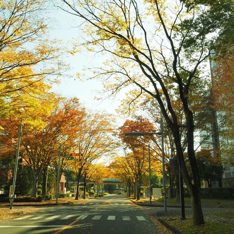 Shoさんが投稿したスターバックス・コーヒー 筑波大学中央図書館店に関する口コミの画像