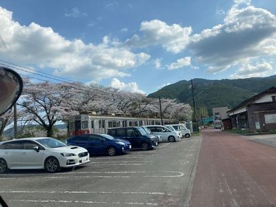 桜トンネル 5枚目