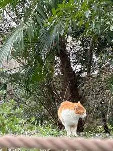 葵ホテル　南禅寺別邸