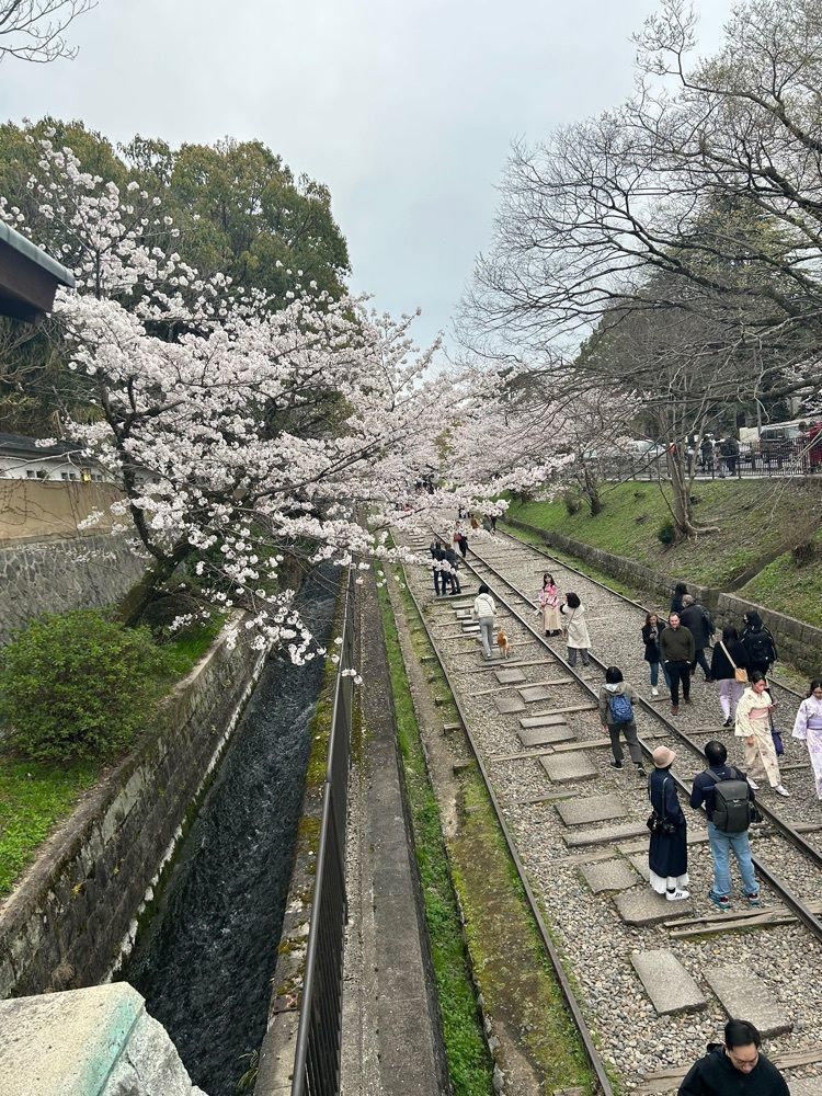 閑さんが投稿した葵ホテル　南禅寺別邸に関する口コミの画像