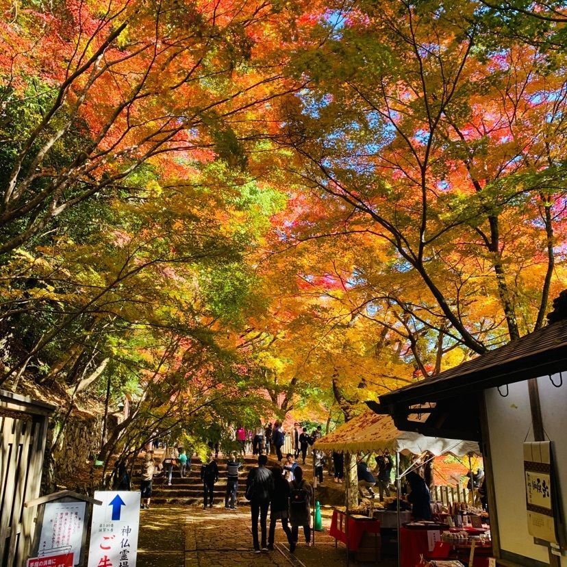 urban_showtime_5a87 達磨大使さんが投稿した永源寺含空院庭園に関する口コミの画像
