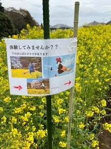 蓑毛ベリー園
