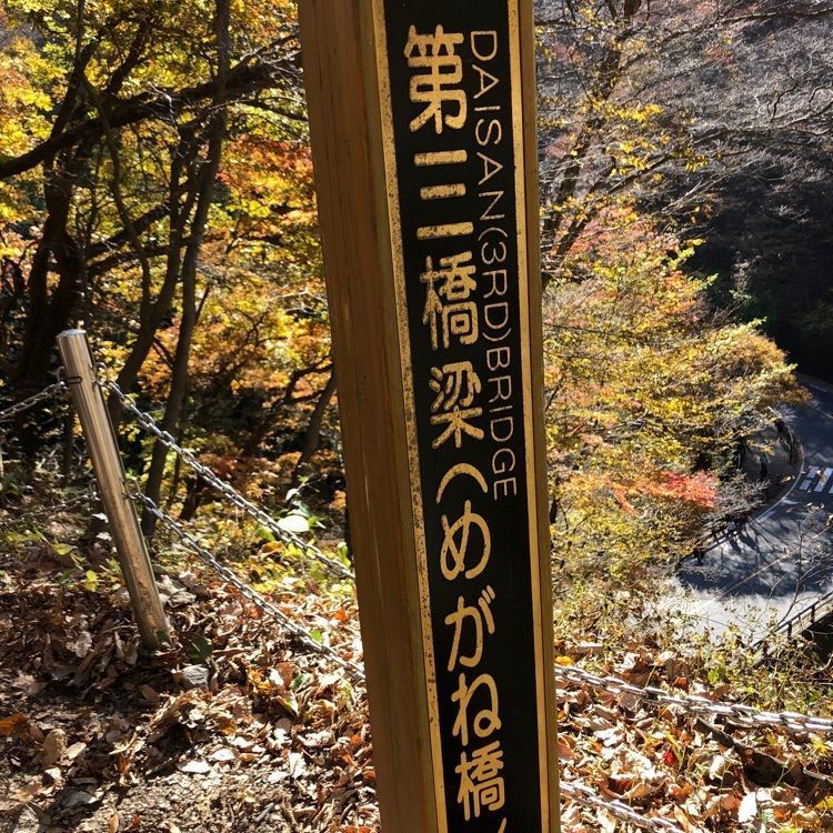 💧- ma - 🍀 - ka -💧さんが投稿した玉屋ドライブイン お食事処（たまやどらいぶいん おしょくじどころ）に関する口コミの画像