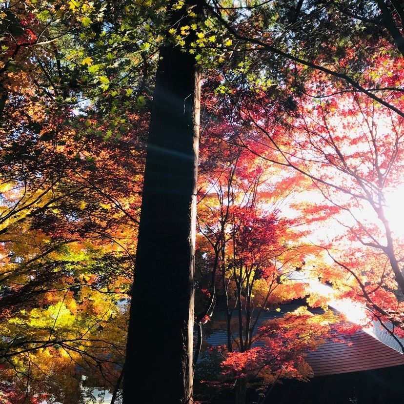 So-kunさんが投稿した大国寺に関する口コミの画像