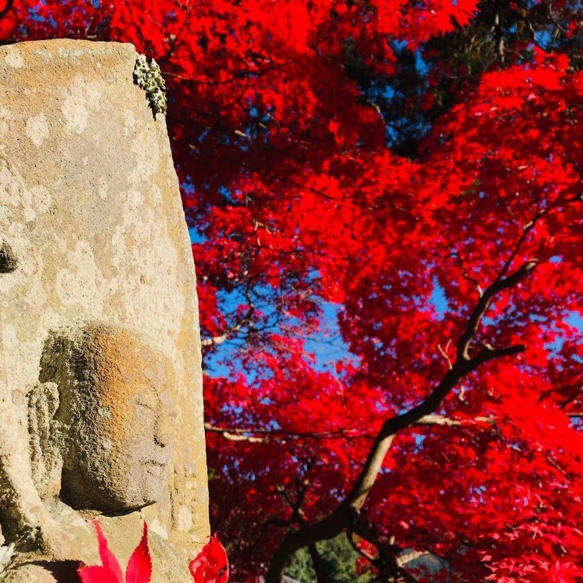So-kunさんが投稿した大国寺に関する口コミの画像