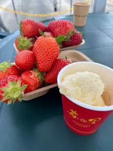 苺の里 ストロベリー ガーデン（Strawberry Garden）