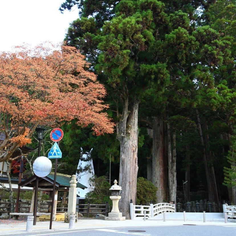 KEN AGENAさんが投稿した高野山町石道に関する口コミの画像