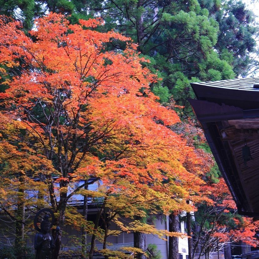 KEN AGENAさんが投稿した高野山町石道に関する口コミの画像