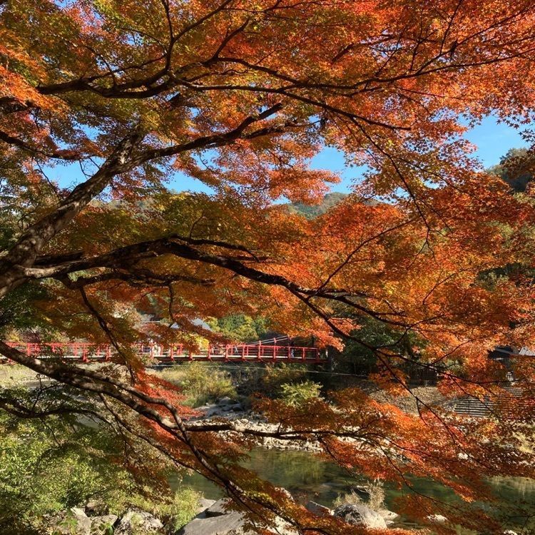 なおなおさんが投稿した一の谷に関する口コミの画像
