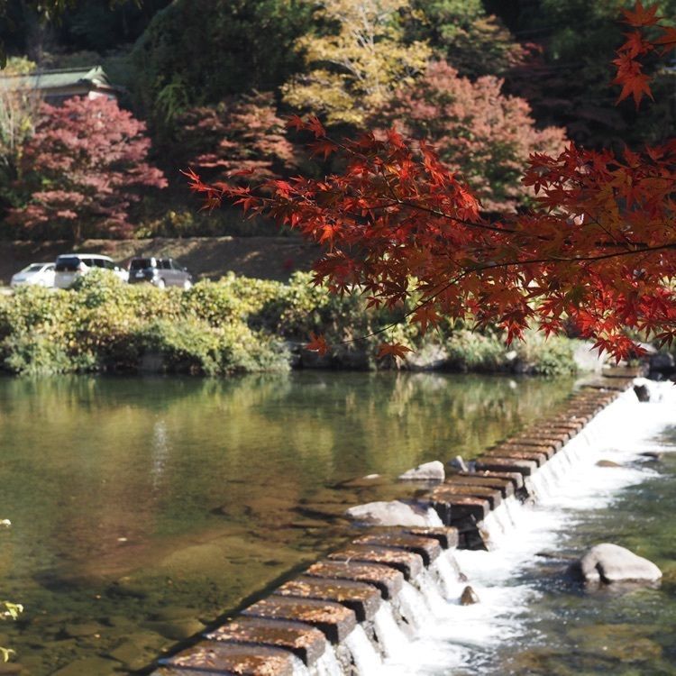 なおなおさんが投稿した一の谷に関する口コミの画像