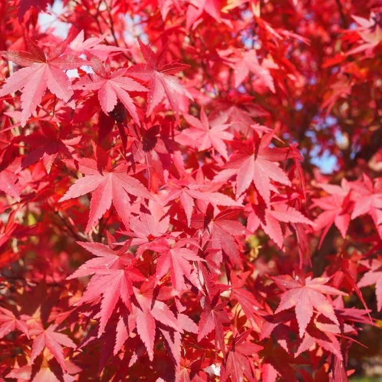 なおなおさんが投稿した一の谷に関する口コミの画像