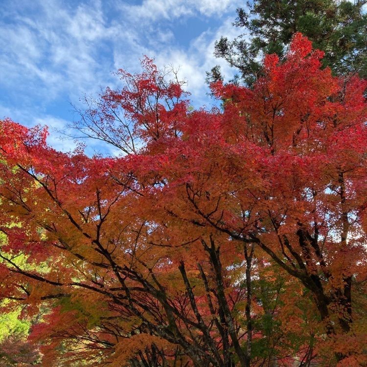 なおなおさんが投稿した一の谷に関する口コミの画像