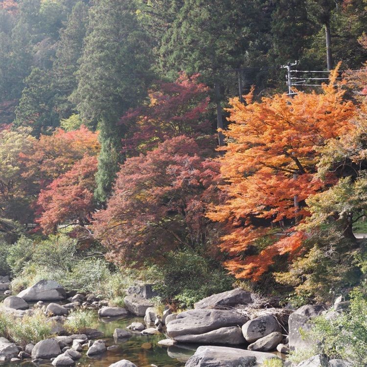 なおなおさんが投稿した一の谷に関する口コミの画像
